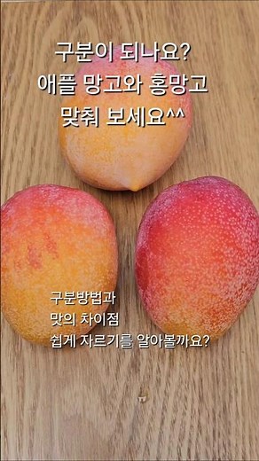 망고 쉽게 예쁘게 자르기 홍망고와 애플 망고 차이점 알아보아요^^