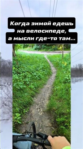 Мысли велосипедиста зимой
