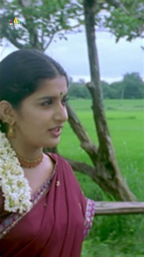 మా అన్నయ్య కి ఇష్టం అయితేనే.. నేను పెళ్ళి చేసుకుంటా ! #Gorintaku | #meerajasmine | #youtubeshorts