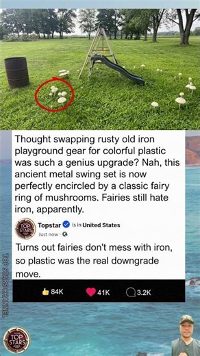 Ever wonder if ditching iron playgrounds actually invited more fairy activity?