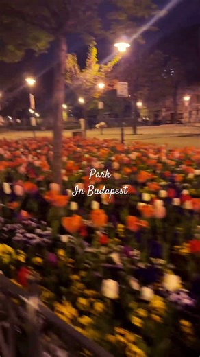 Best Park in Budapest