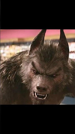 Werewolf hunting #assassin #movie #motivation #film #movieclips