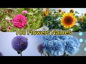 100 Flowers name and pictures | pictures of flowers