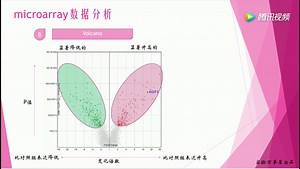 microarray-2 实验万事屋