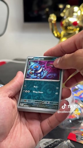 collectorsexpo on TikTok