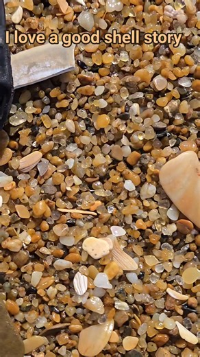 Love finding the perfect shell | Mac Church