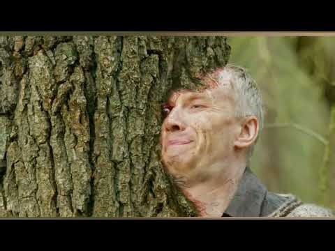 Man Stuck in a Tree: What Happens Next? || Movies Explained Video Hindi || #movieexplained