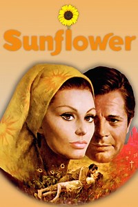Sunflower (1970 film) - Alchetron, The Free Social Encyclopedia