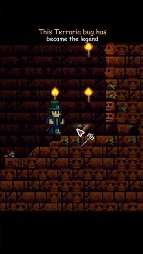 This terraria bug has became the legend