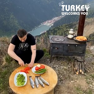 Who can say no to such a delicious dinner out in the forest? 🐟🌲 | Taste Lab