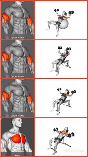 Intense Incline Dumbbell Workout – Fly & Hammer Press for Upper Chest Growth