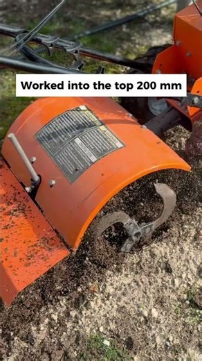 Why We Shovelled 80 Tons of Lime by Hand on Our Truffle Farm