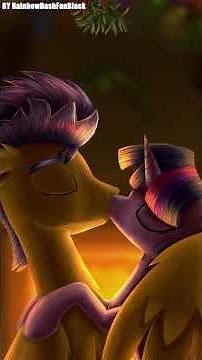 Twilight Sparkle x Flash Sentry - You are my flashlight ❤️​#mylittlepony #mlp #pony
