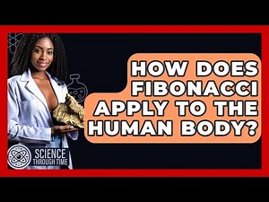 How Does Fibonacci Apply To The Human Body? - Science Through Time