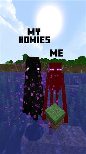 If I go down I'll take all of you down with me.💀#shorts #minecraft #memes