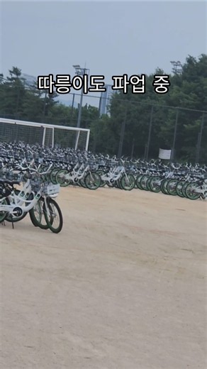 따릉이도 놀고 있네요. 일하로 가자 #따릉이 #서울자전거