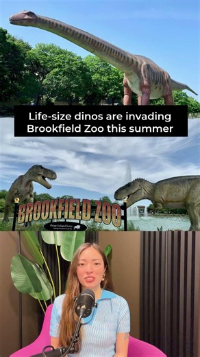 Dinosaurs Have Taken Over the Zoo!
