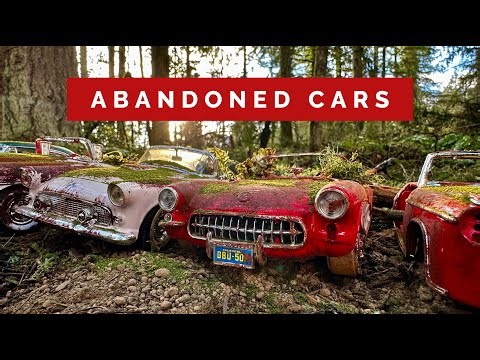 Abandoned cars