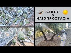 ΠΡΟΣΤΑΣΙΑ ΕΛΑΙΩΝΩΝ - ΑΝΤΙΜΕΤΩΠΙΣΗ ΔΑΚΟΥ & ΘΕΡΜΙΚΟΥ ΣΤΡΕΣ