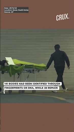Jeju Air Plane Crash | Only Two Survivors Recovering In Seoul Hospital | South Korea