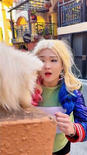 哈莉奎因的龟兔赛跑#Harley Quinn #joker