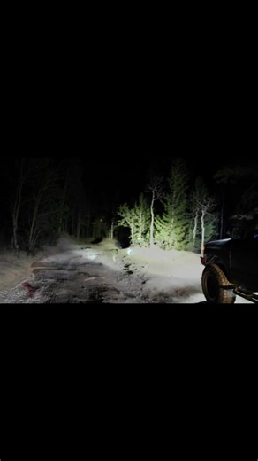 Come see what Extreme LED has to offer. Our Products are built to last. We sell the highest quality lights at the best value. @extremeledlightbars.com - #toyota #ledlights #camping #offroad #nightdrive #nightdrive #extremeledlightbars #extremeled #ledlightpod #overland #4runner #stacker #amberlights #darkmode #norunner #quicksendtaco @NoRunner