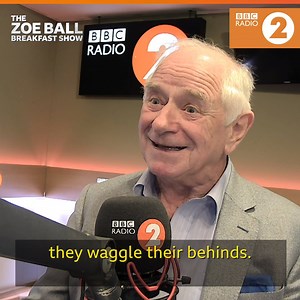 Johnny Ball is one proud father. 🧡 The star of TV mathematics tells us how the humble bee is deserving of a place on the Strictly dance floor! | BBC Radio 2