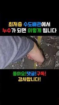 지하 또는 지하없는 1층 배관이 터지면 바닥에서 물이 올라옵니다. #누수 #누수탐지