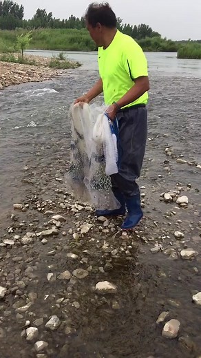 3.1M views · 10K reactions | Catching Fish Using Cast Net Fishing / Net Catch Fishing #Reels #fishing #skill #castnetfishing#fishtok #crab #ocean #giant #fish #fisherman #fishing #fishinglife #crabbing #shark #bigfish #sharkweek #boatlife #nature #science #boating #sushi #eel #santacruz #friendliestcatch #deadliestcatch #sustainable | Daily Discovery | Facebook