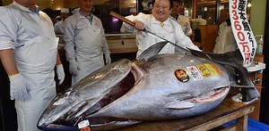 Tuna price soars past $270,000 at auction
