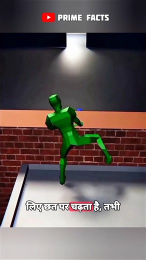 The Hostel Escape Gone Wrong!