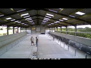 Kitting out a straw based pig shed