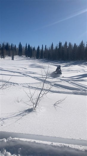 Pow turns #snowmobile #twostroke #snow #sledding #wintersports #polarissnowmobile
