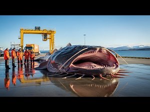 Catching a 30-ton monkfish in the deep norwegian trenches