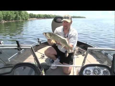 Swimbaits for Walleye