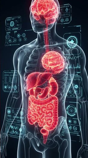 Leptospirose : La maladie du rat