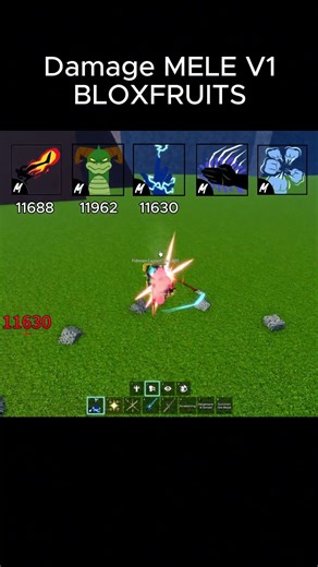 Damage MELE BLOXFRUITS (V1) #roblox #bloxfruits #bloxfruit