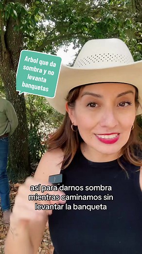 Árboles que dan sombra y no levantan banquetas