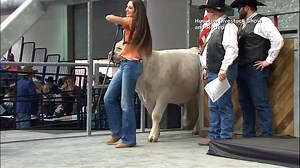 5.2M views · 61K reactions | $1M for a steer! That's the historic price paid for the steer named Vanilla Ice at the Houston Livestock Show and Rodeo. The purchase was made by the event's Past President and Chairman of the Board/current Executive Committee member Don D. Jordan and family. The price tag surpasses the Rodeo’s previous record of $625,000 set in 2019. (CBS) Here is info about where the money goes: bit.ly/3qsjyA3 | WDBJ7 | Facebook