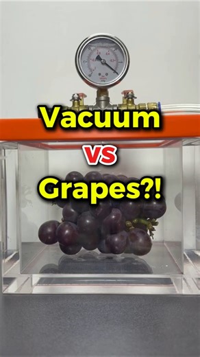🔥 Vacuum vs Grapes?! 😳🍇