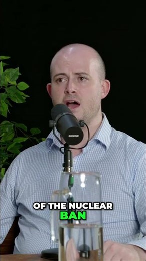 Nuclear Power Debate: The Energy Balance Revealed