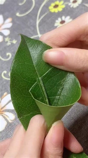 Spring Love Story: Blossoms & Romance in a Bouquet