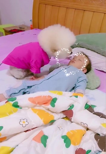 Dog Kisses Sleeping Baby | Heartwarming Moment