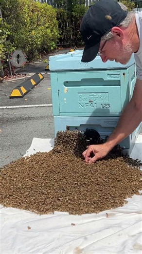 Stop Your Swarm From Leaving