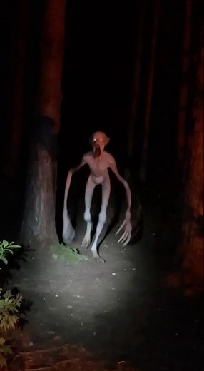 A SKINWALKER ATTACKED ME IN THE WOODS