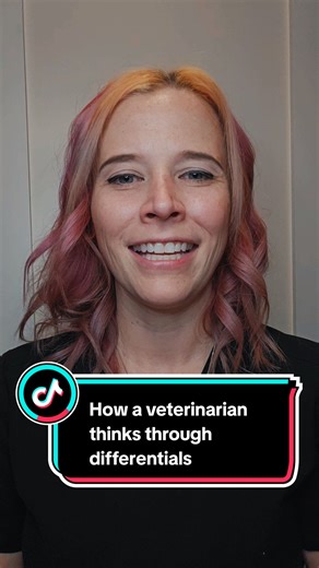One of the most important parts of veterinary medicine happens before diagnostics are even run. We start by integrating the history, physical exam, and the patient in front of us. From there, we recommend diagnostics, explain what each test tells us, and offer options, always with the pet’s comfort and the family’s goals at the center. Good medicine isn’t about doing everything blindly or a checklist. It’s about doing things intentionally and supporting families in the decisions they make. This 