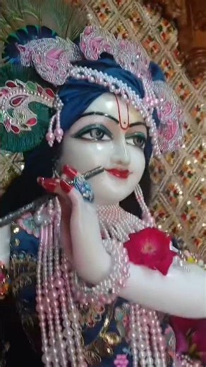 hare ❣️ Krishna,,,🙏🏻