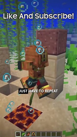 How To Get Scuba Gear In Minecraft?!