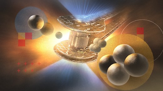 What's next for nuclear fusion, the 'holy grail' of energy