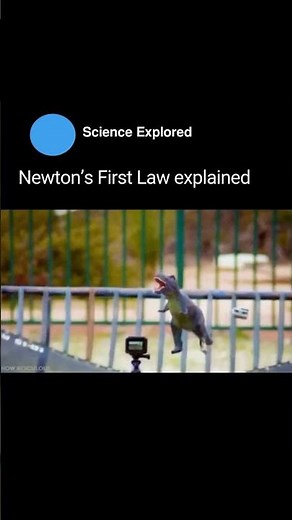 Can a Toy Prove Newton's First Law?